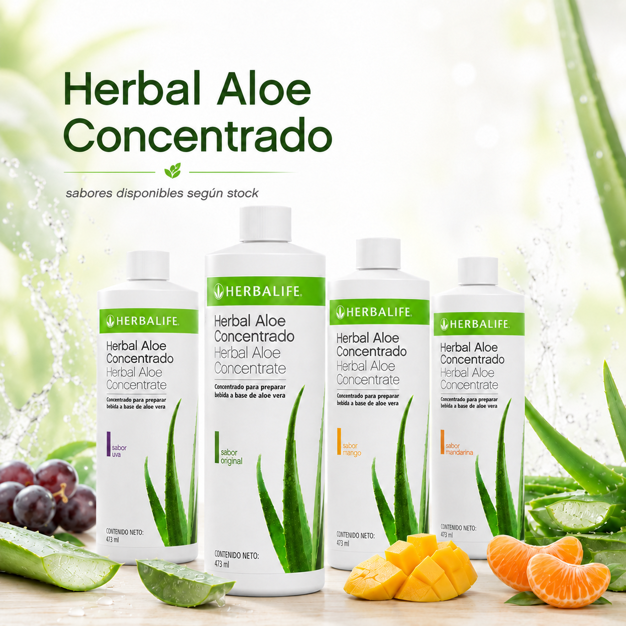 Herbal Aloe Concentrado Herbalife